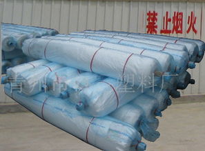 青州海飛塑料 優質灌漿膜供應，價格合理，產品圖片展示